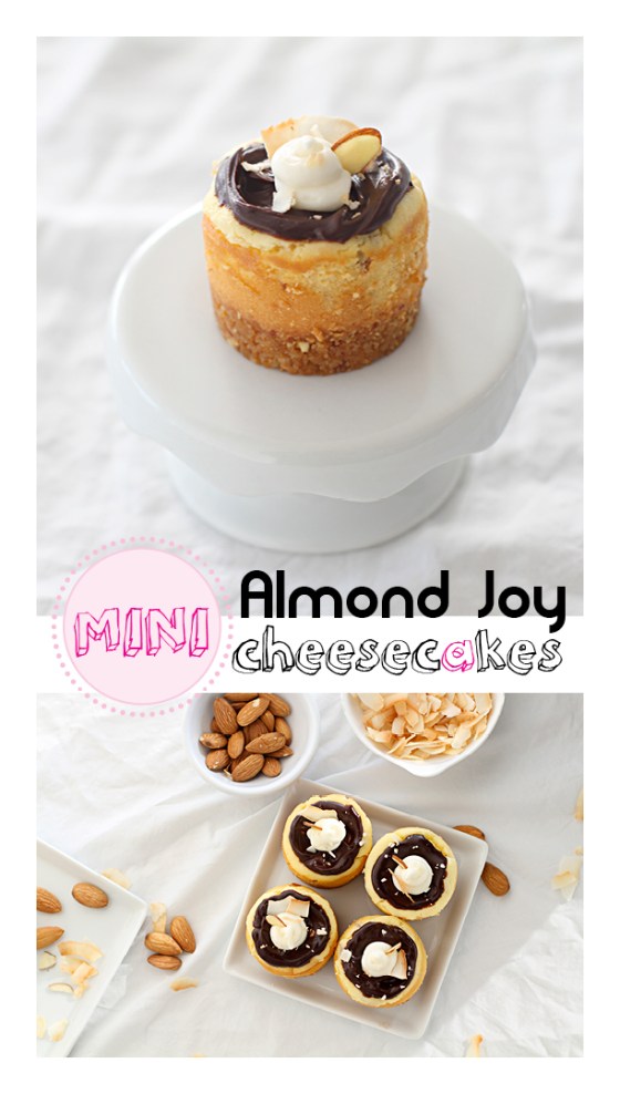 Almond Joy Cheesecakes